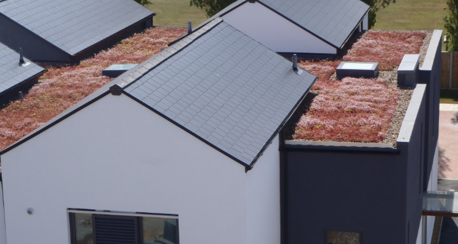 Cameron Close Green Roof