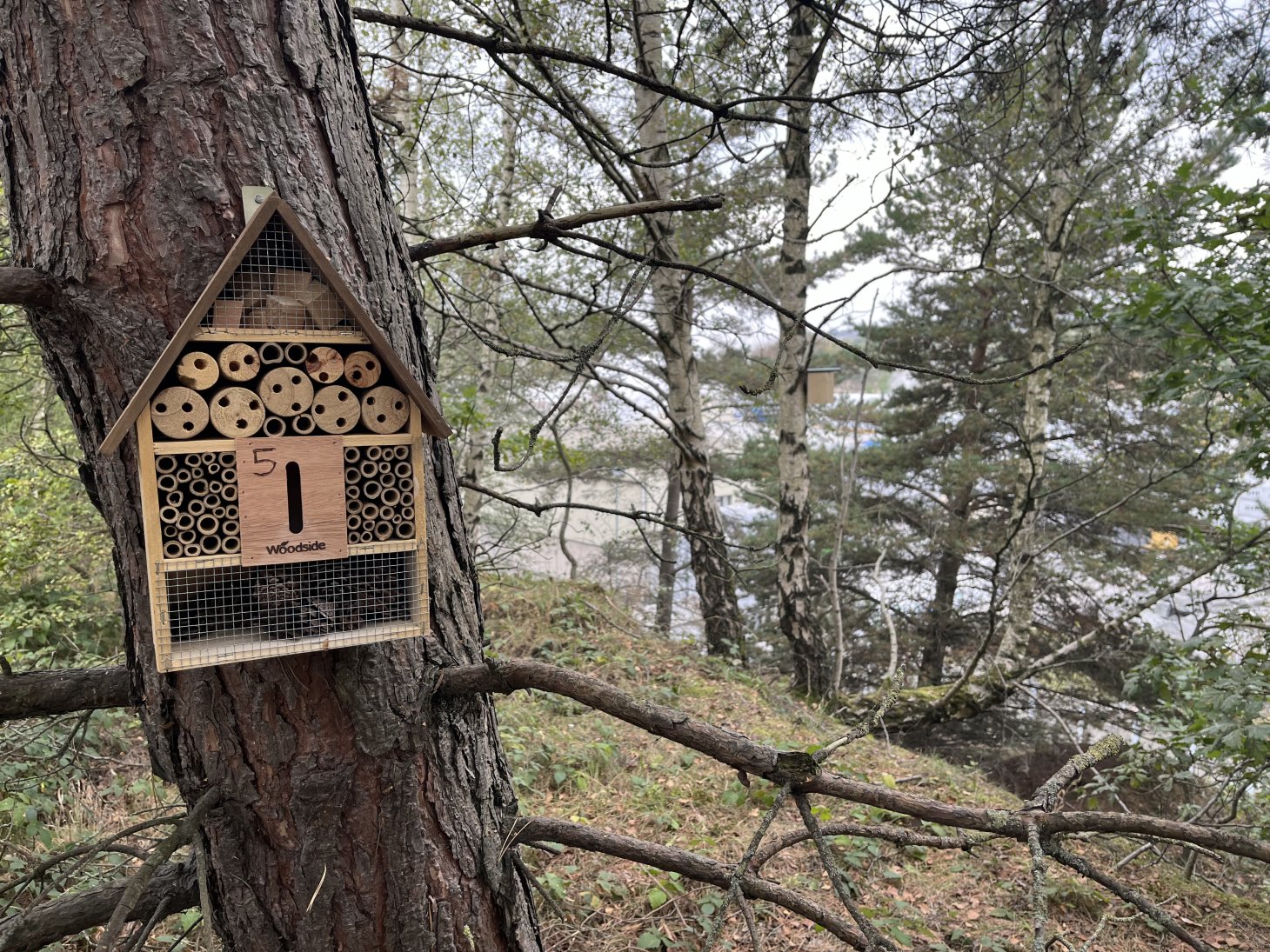 H+H biodiversity
