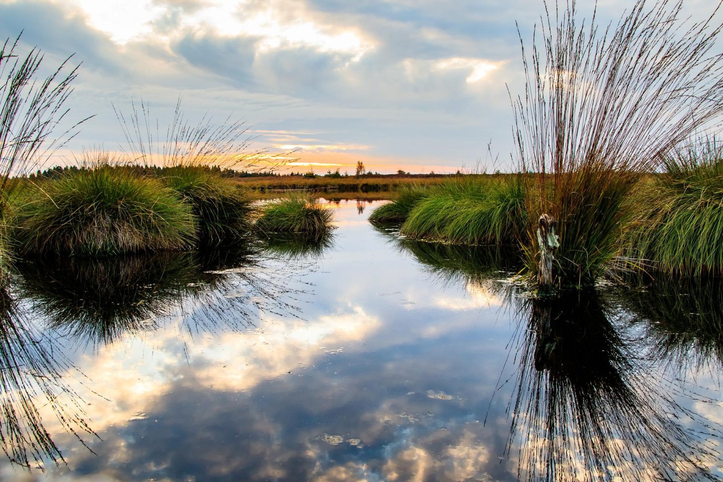 Environmental protection halts homes