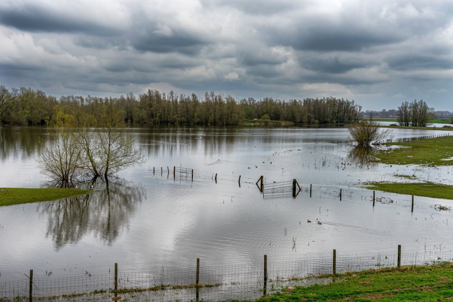 Flooded countryside