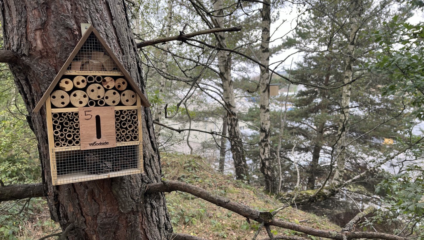 We’ve been planting bird boxes and insect houses at our factories as part of an ongoing biodiversity and site stewardship initiative.