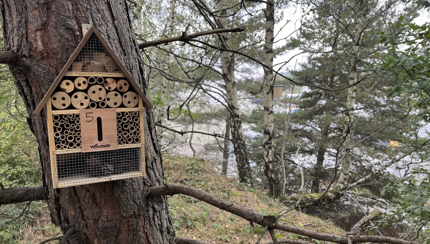 We’ve been planting bird boxes and insect houses at our factories as part of an ongoing biodiversity and site stewardship initiative. 